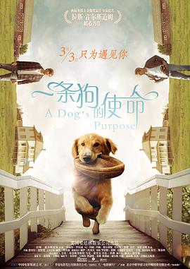 亚洲国产成人久久一区www